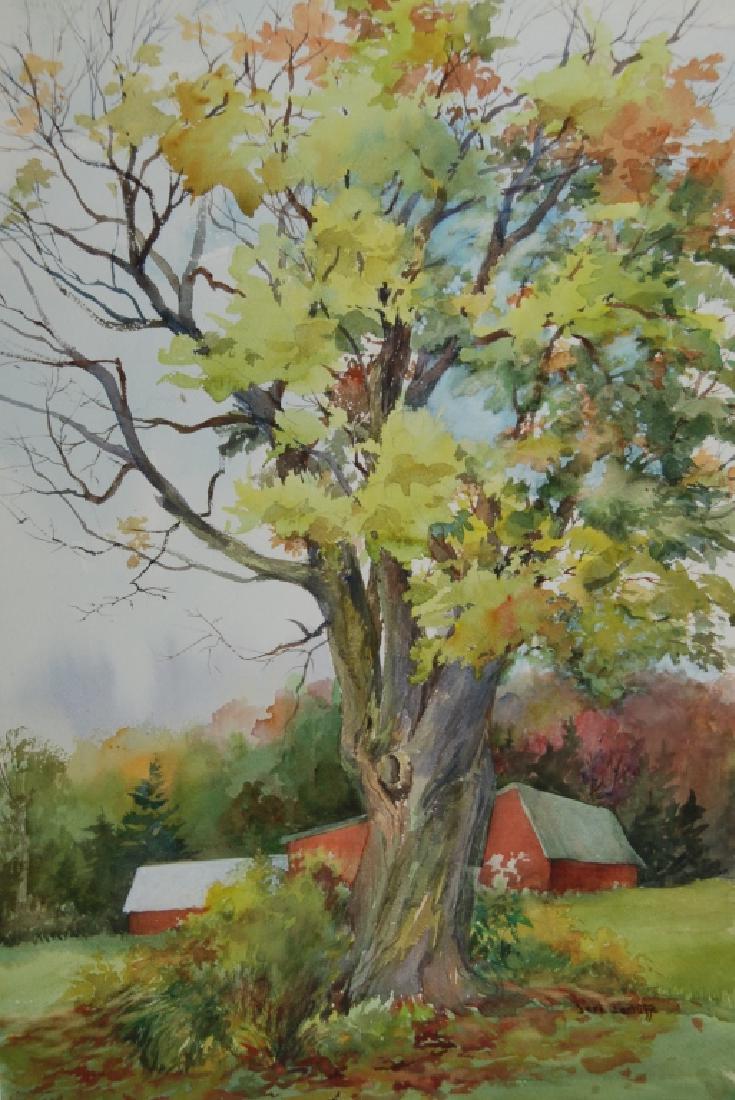 Jeri Cantliffe: Tree on the Farm Not Matted Jeri Miller Cantliffe is active/lives in Connecticut. Jeri Cantliffe is known for painting. She taught watercolor painting through her workshops at her studio/ workshop/gal