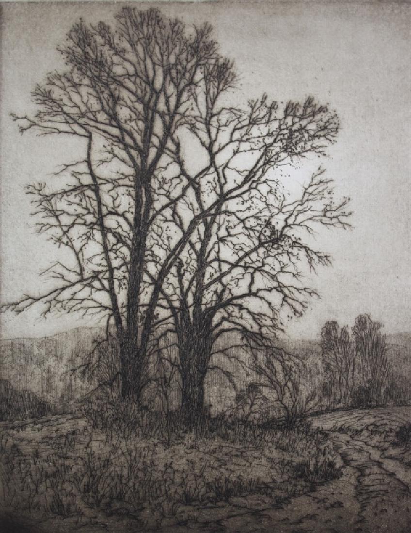 Robert Hogg Nisbet (1879-1961) (1 of 3)