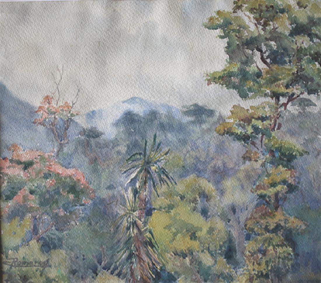 Tropical Scene with Mountain (1 of 6)