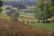 Countryside with cows and clouds - 6