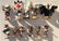 Kachinas- over 45- large lot