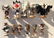 Kachinas- over 45- large lot - 2