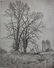 Robert Hogg Nisbet (1879-1961) - 2