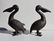 Pair of Pelicans