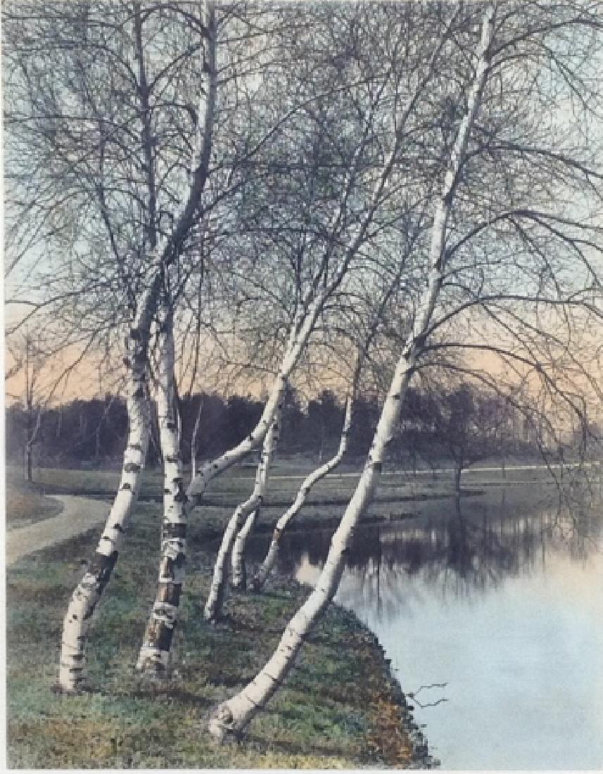 Wallace nutting (1 of 4)