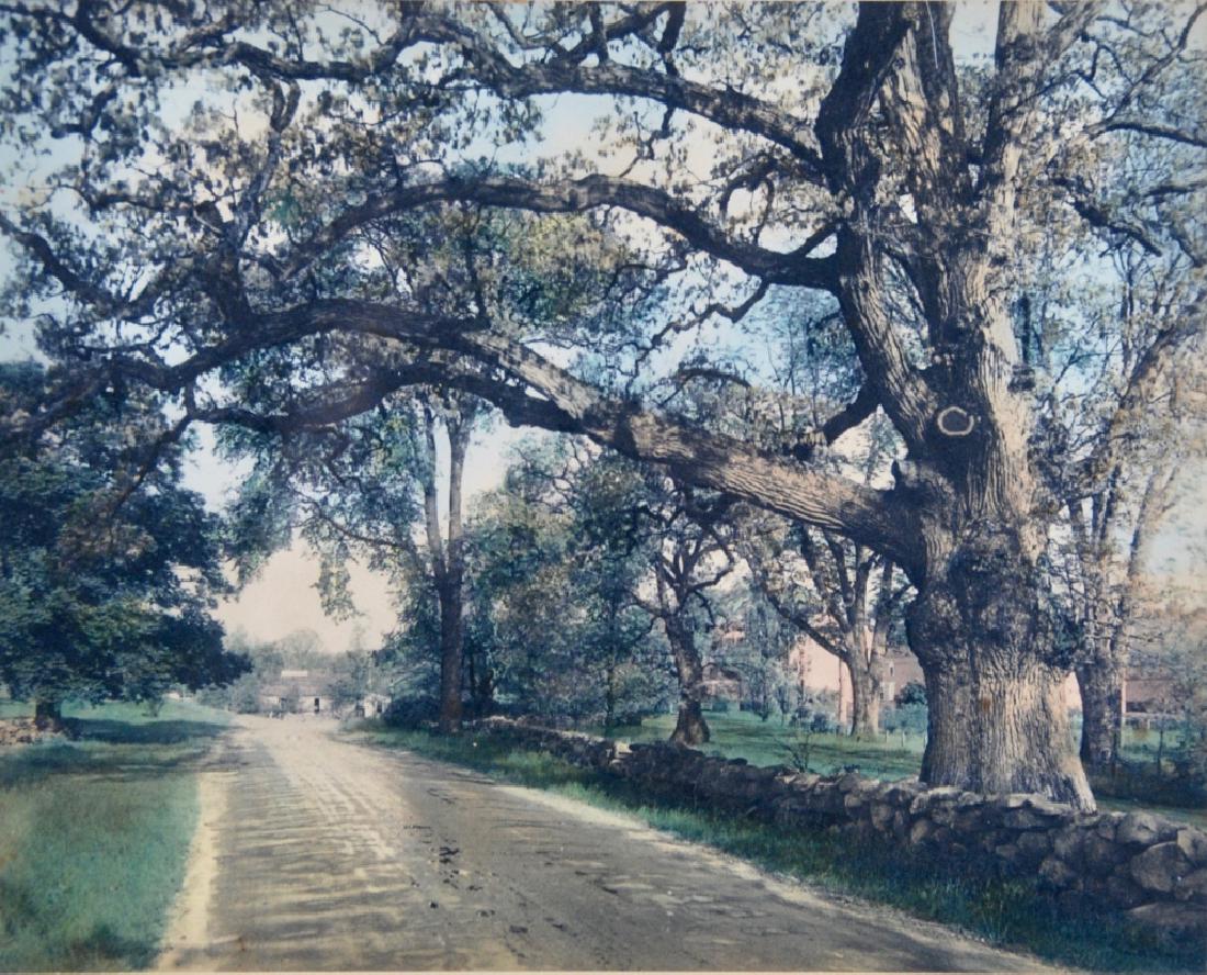 Wallace Nutting (1 of 6)