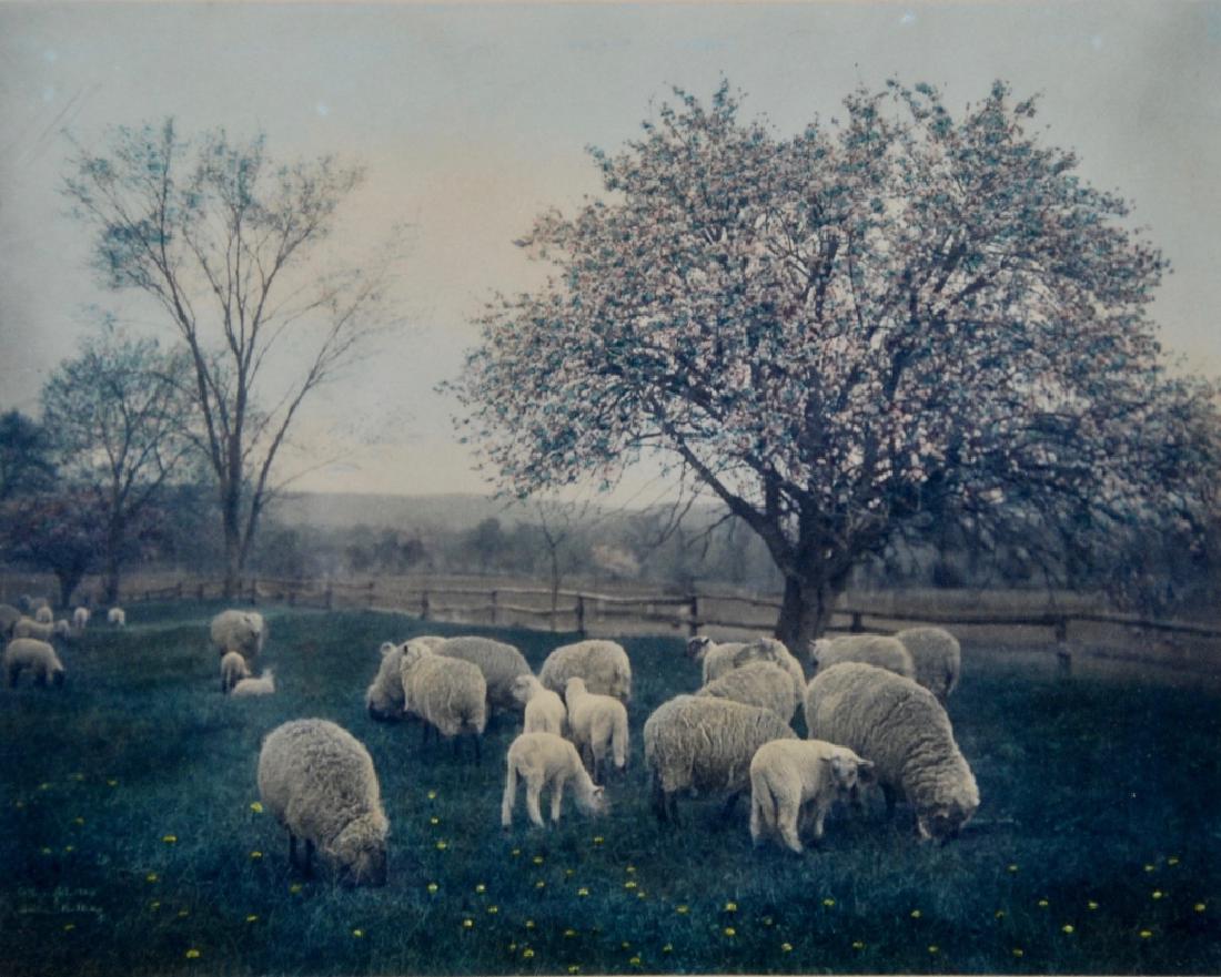 Wallace Nutting (1 of 6)