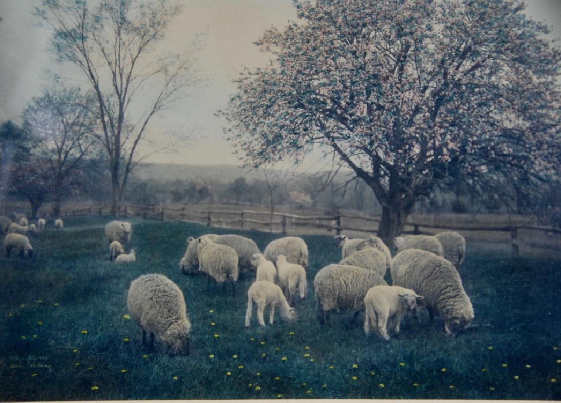 Wallace Nutting (1 of 4)