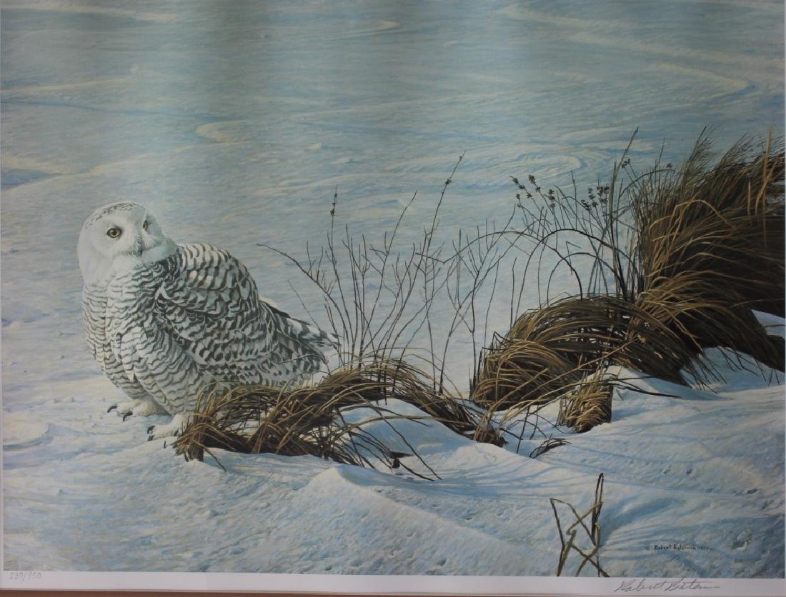 Robert Batmen (1 of 6)