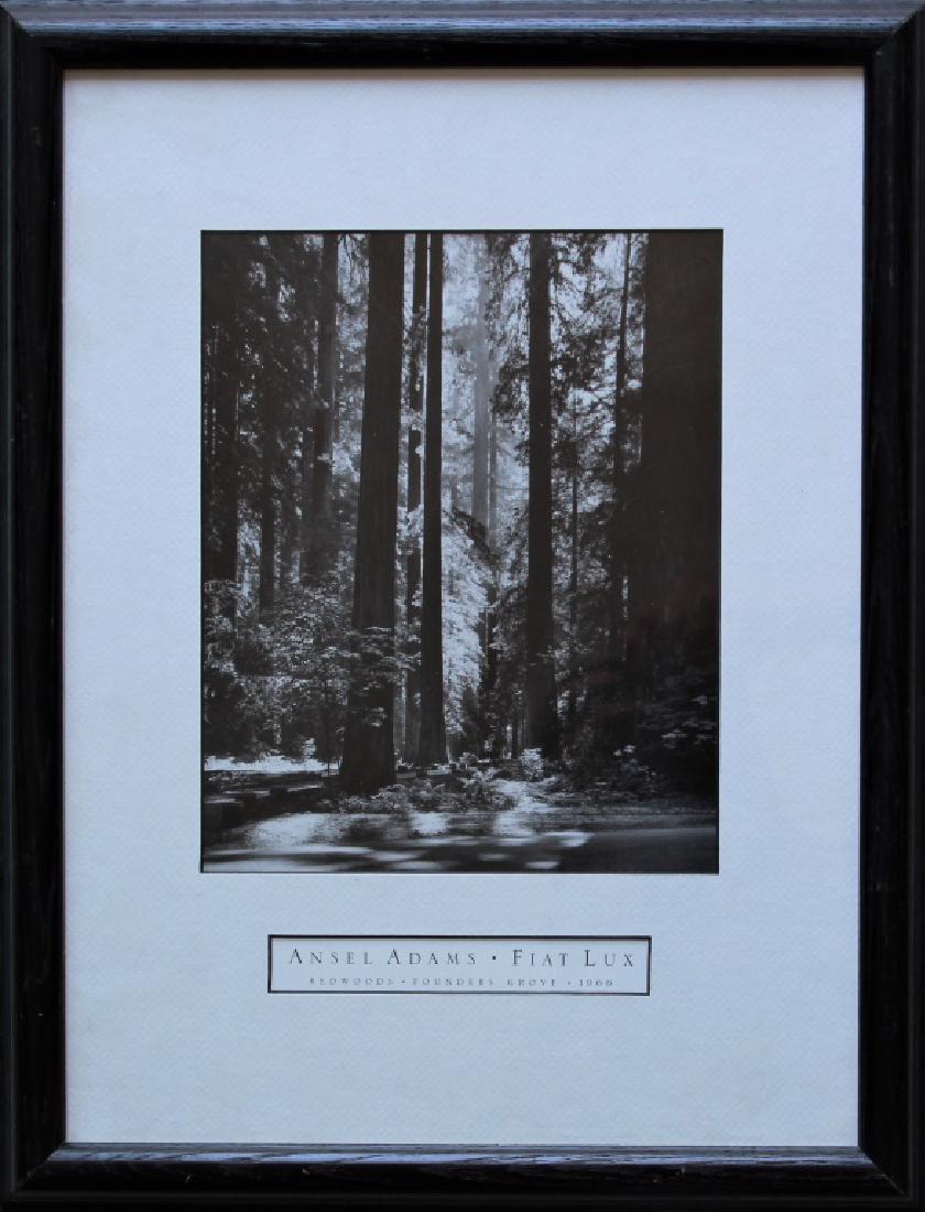 Ansel Adams (1902 - 1984) (1 of 4)