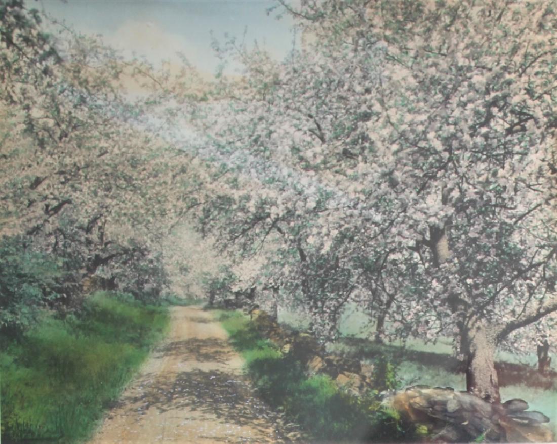 Wallace Nutting (1861 - 1941): Title: The way of the Blessed. Medium: Print. Size: 11 X 13 (sight) in. Signature: SLR. Artist: Wallace Nutting (1861 - 1941). Framed.