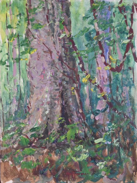 Harry Leslie Hoffman (1871/1874 - 1964): Harry Leslie Hoffman (1871/1874 - 1964). Trees in the jungle of British Guyana. Signed front and verso. Estate stamp on verso. Art Association for Harry Leslie Hoffman: American Watercolor Society, Pa