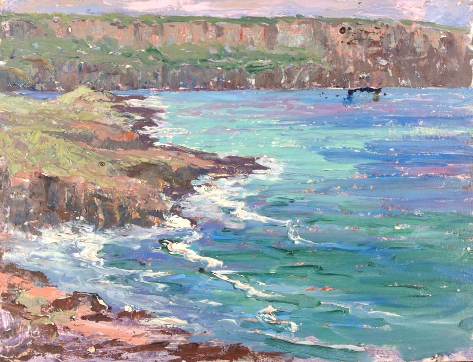 Harry Leslie Hoffman (1871/1874 - 1964): Harry Leslie Hoffman (1871/1874 - 1964). Title: Galapagos. Medium: Oil on Board. Size: 12 x 16 in. Signature: Estate stamp on verso. Artist: Harry Leslie Hoffman (1871/1874 - 1964). Unframed. Art Asso