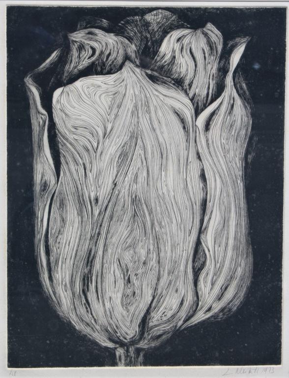 Lowell Nesbitt (1933 - 1993): Lowell Nesbitt (1933 - 1993). Artist proof signed and dated 1973 in pencil by artist. Title: Tulip. Medium: Etching. Size: 21.5 X 16.5 in. Signature: SLR. Artist: Lowell Nesbitt (1933 - 1993). Framed.