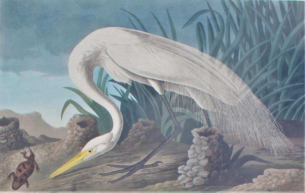 John James Laforest Audubon (1785 - 1851) (1 of 11)