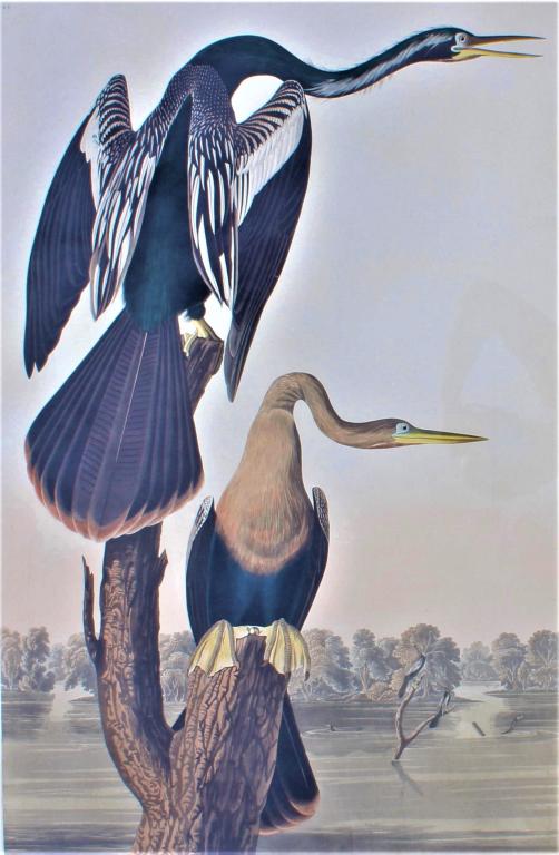 John James Laforest Audubon (1785 - 1851) (1 of 10)