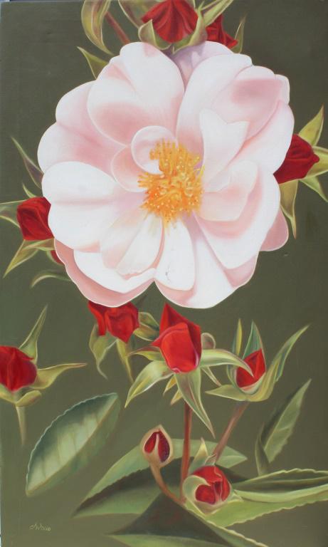 Deborah Wadsworth (1 of 4)