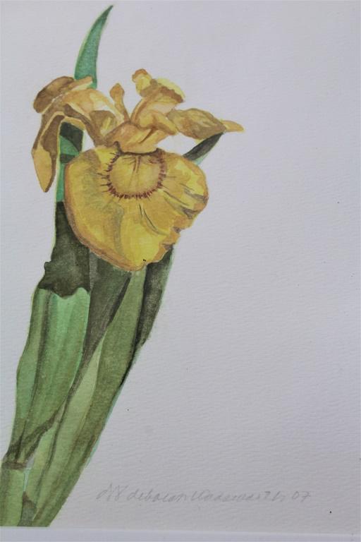 Deborah Wadsworth (1 of 4)