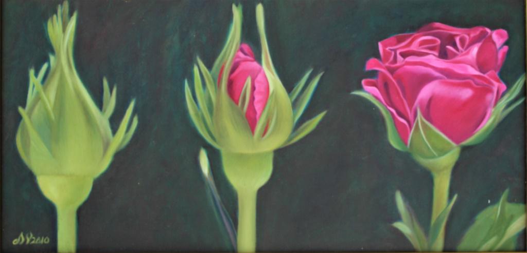 Deborah Wadsworth (1 of 4)