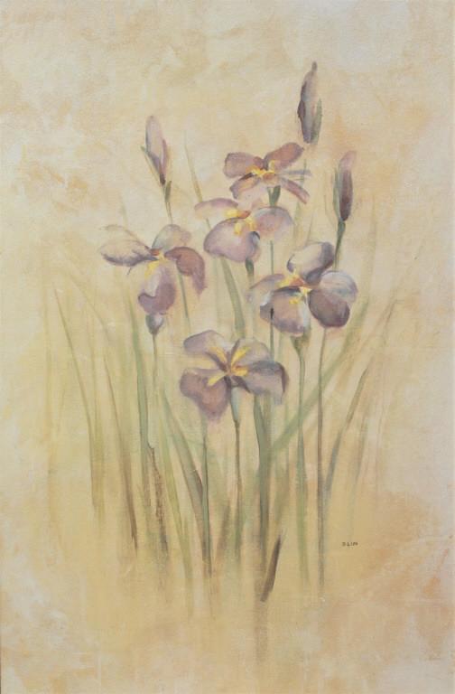 Blum, Iris flowers (1 of 4)