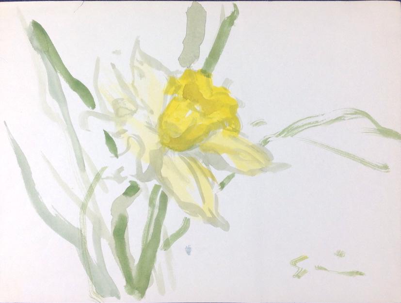 Anderson Gisson (1 of 7)