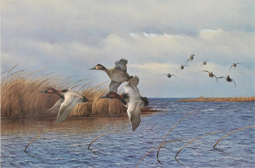 Owen Gromme  (1896 - 1991) (1 of 5)