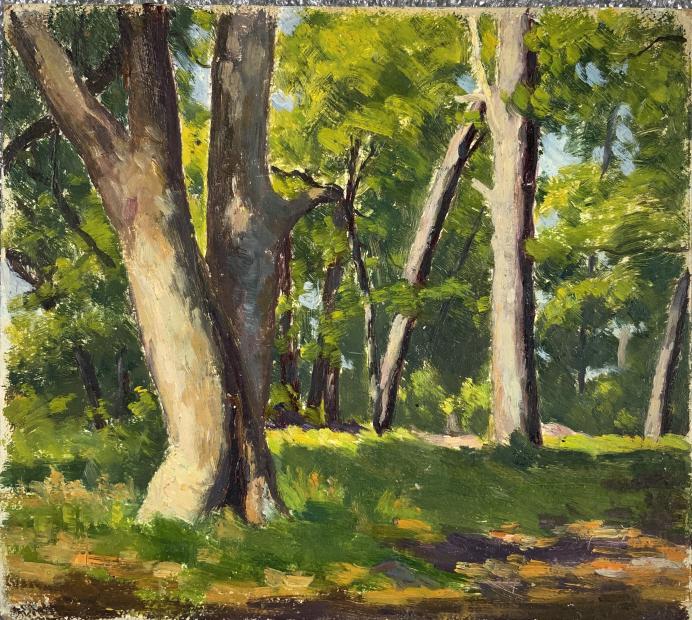 Arther. E. Ward, forest scene (1 of 4)