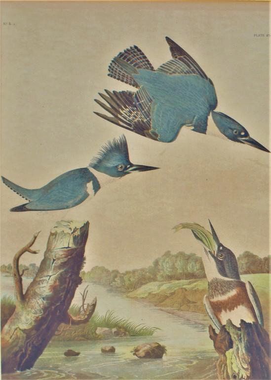 John James Audubon, Chromolitho (1 of 10)