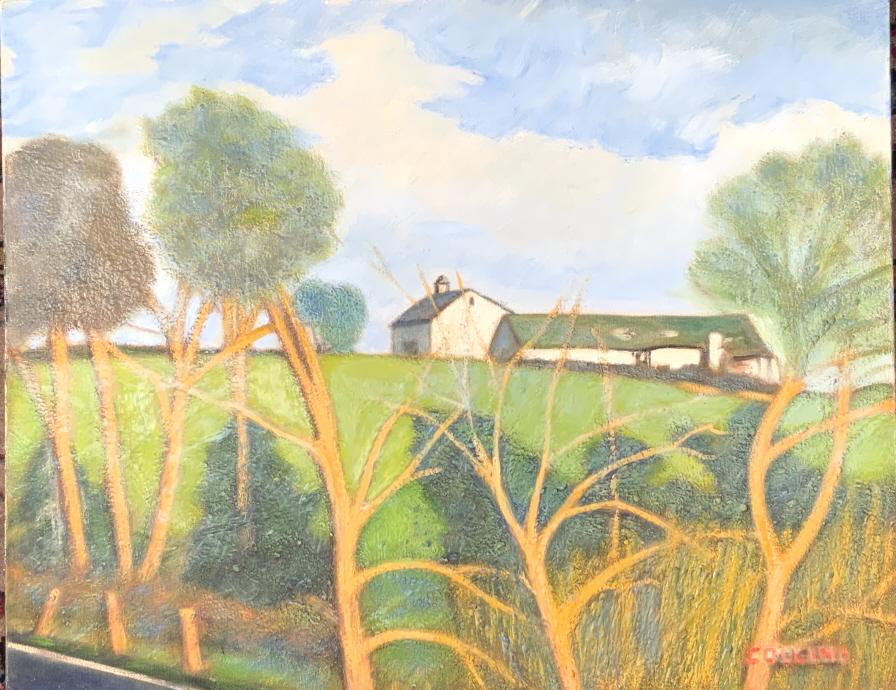 Collins,  Country Barn and pasture (1 of 8)