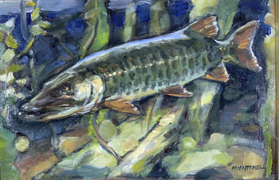 M Mitchell, pike fish (1 of 10)