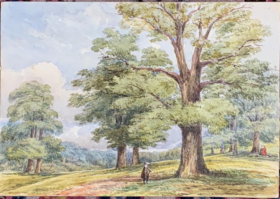 J.C, (. J. Cox) Woodstock, The King oak: J.C, (. J. Cox)Woodstock, The King oak. Gentleman walking by King oak, two women, right side of painting, one wearing a bright red dress. Copy of wedding letter gift to be included. Ireland.. Title: T