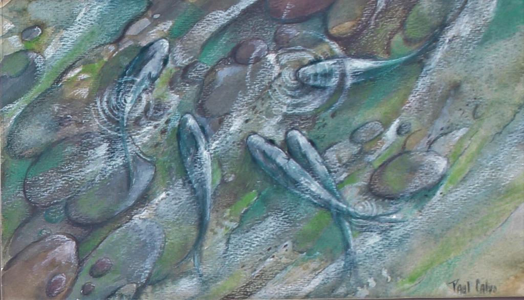 Paul Calvo Cape Cod Massachusetts Artist Fish (1 of 4)