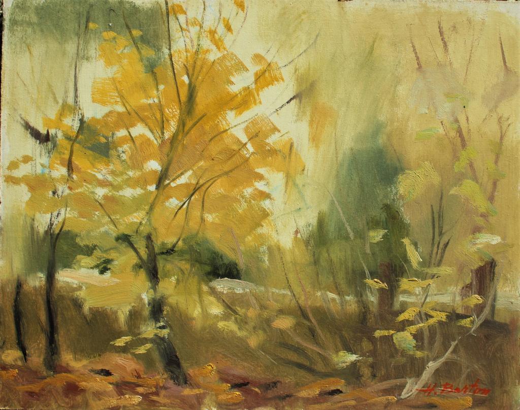 Harry Barton,Autumn Splendor"" (1 of 3)