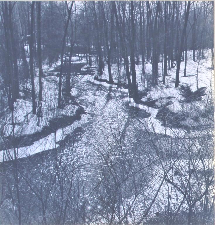 Trout Brook (Feb,1965), probably Colorado (1 of 4)