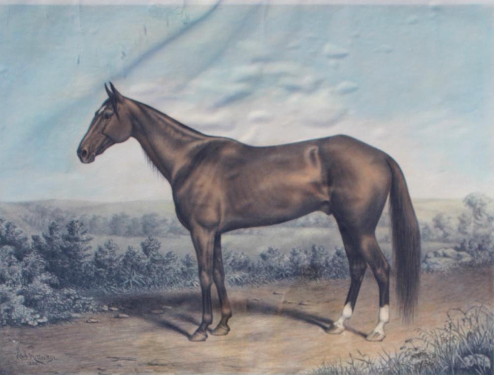 Harry clay, St Julien (1 of 7)