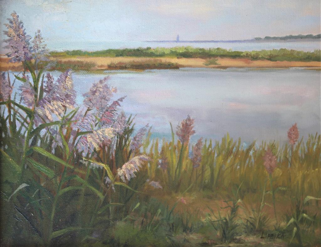 Lipeika, Coastal shoreline, Ocean (1 of 5)