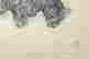 item-133171884=4