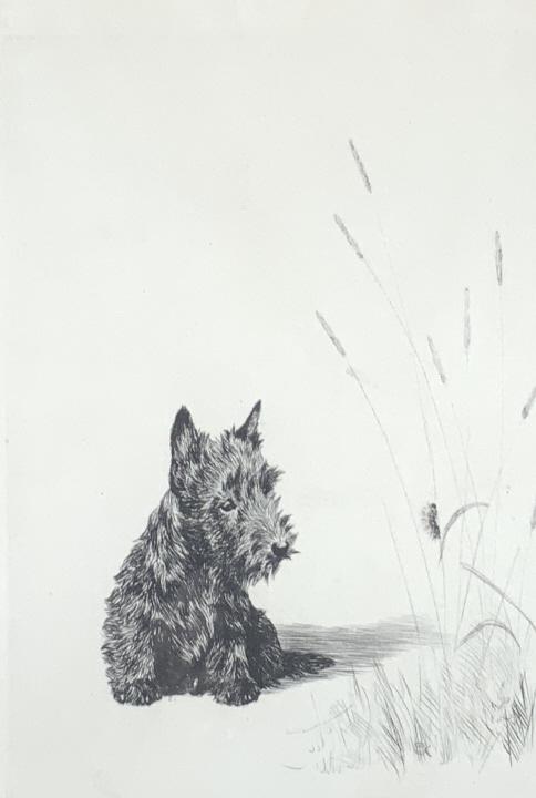 Marguerite Kirmse (1 of 6)