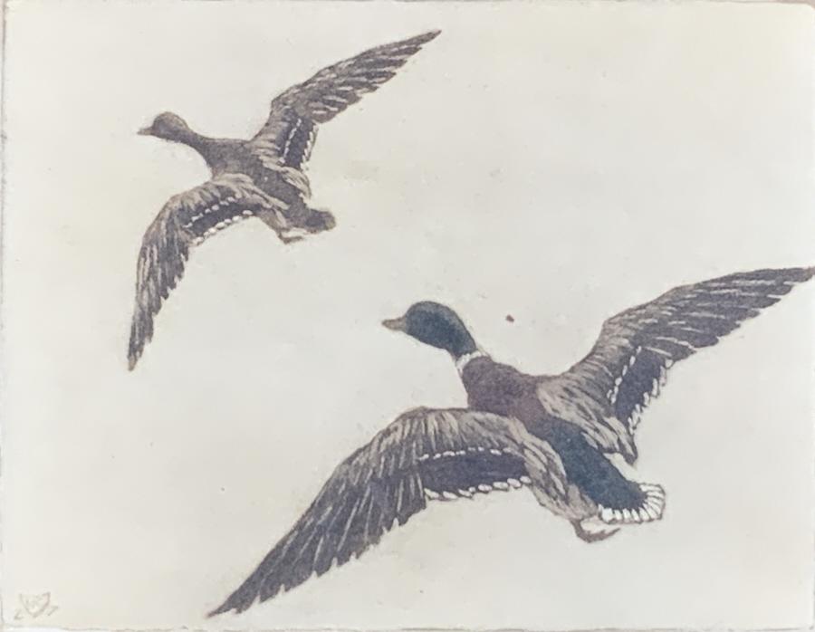 Hans Klieber, Mallards Flying, Louisiana Marshes: Hans Klieber, Mallards Flying, Louisiana Marshes. Mat size: 10 x 12.75, label on verso. Title: Louisiana Marshes. Medium: Etching. Size: 5 x 6.25 in. Signature: SLR. Artist: Hans Klieber. Framed.