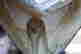 item-133171986=4