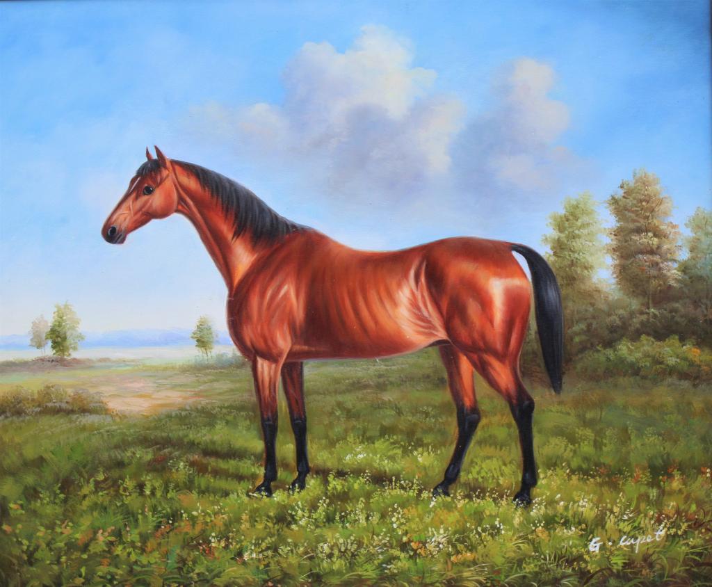 Horse in the meadow (1 of 5)