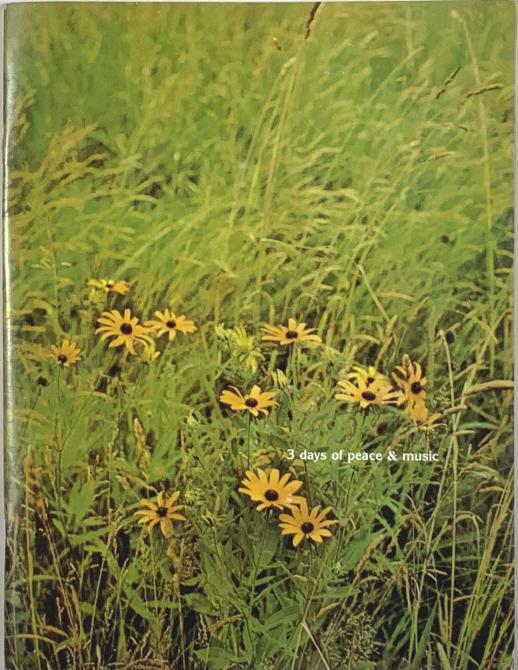 3 Days of Peace & Music Woodstock Festival (1 of 4)