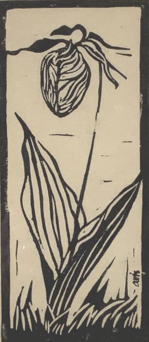 Aris, Block print, Maccaasin & Bloodroot. 2 prints: Aris, Block print, Maccaasin & Bloodroot. 2 prints. 1972, Moccasin flower and Bloodroot, frames sizes: 11 x 6.75. Title: Moccasin Flower & Bloodroot. Medium: Wood block. Size: 8 x 3.50 in. Signature: 