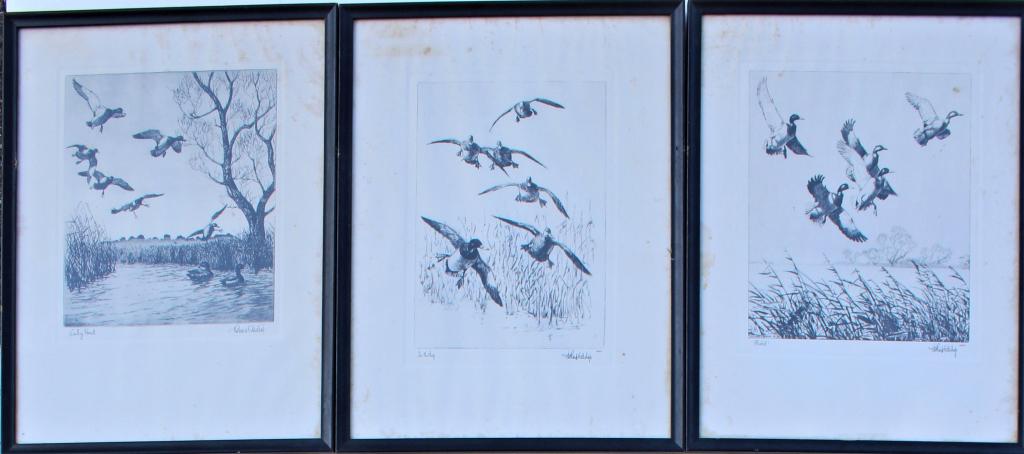 3 Richard Evett Bishop, duck scenes (1 of 7)
