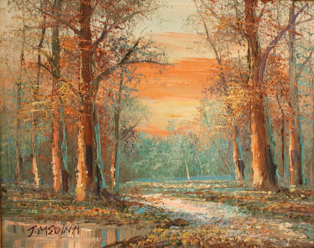 Alice J Medina, Fall Sunset (1 of 4)