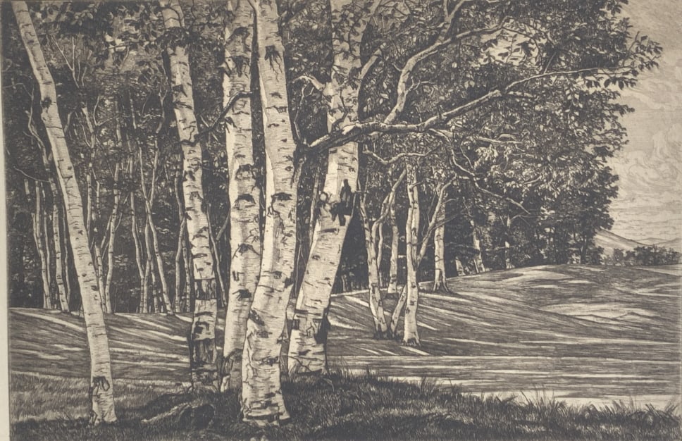 Luigi Lucioni, Birch Processional, 1950-51: Luigi Lucioni, Birch Processional, 1950-51. Original label from artist on verso, with address. Frame size: 17 x 21. Title: Birch Processional. Medium: Etching. Size: 9 x 14 in. Signature: SLR. Artist: