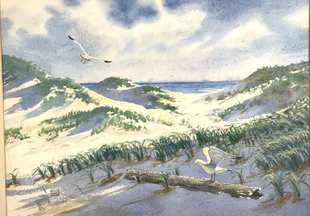 Harold Durand White, Seagulls and sand dunes: Harold Durand White, Seagulls and sand dunes. Summer scene at the beach, probably Cape Cod, Seagulls sand dunes, Frame size: 22.25 x 28.25. Title: Seagulls and sand dunes. Medium: Watercolor. Size: 15