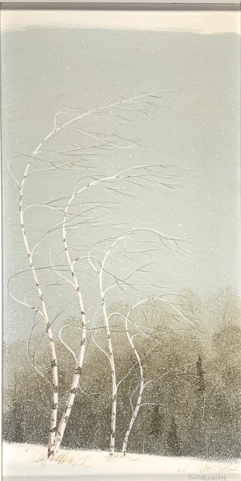 Gary Barsumian, Birch trees, winter snow falling (1 of 7)