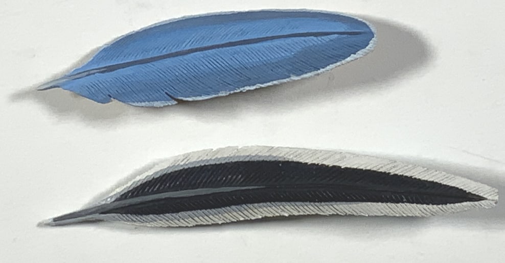 Ward E. Herrmann, Blue bird , Pintail feather (1 of 4)