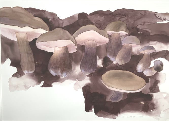 Laura  Martin, Mushrooms, violet Grey Bolete (1 of 9)